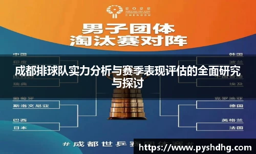 成都排球队实力分析与赛季表现评估的全面研究与探讨